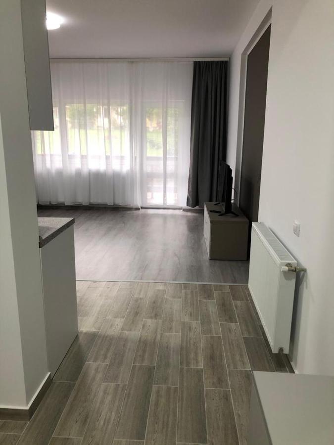 Elena-Maria Apartments Buşteni Exterior foto